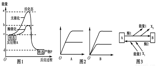 各种规格干细胞相关因子