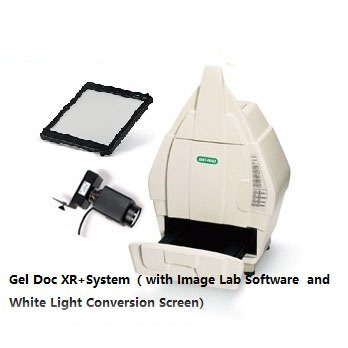 全自动凝胶成像系统