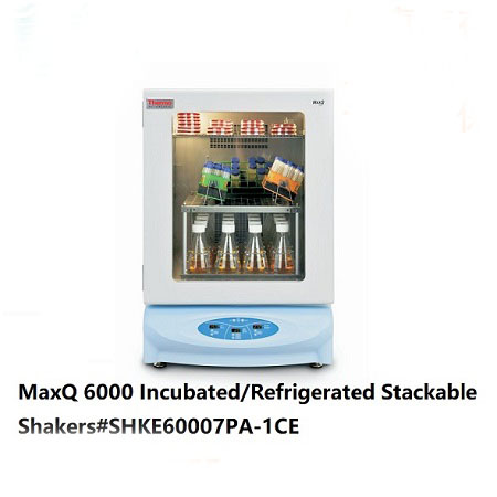 MaxQ6000摇床