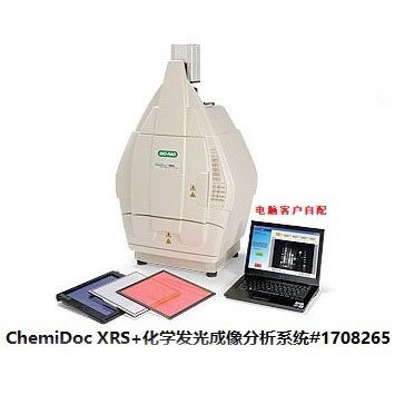 化学发光成像分析系统