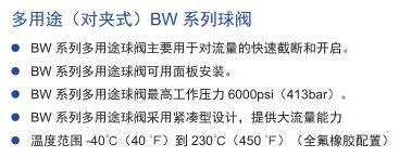 OSK 球阀BW系列