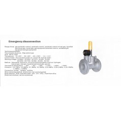 进口低压紧急切断电磁阀（通电关闭、手动打开）