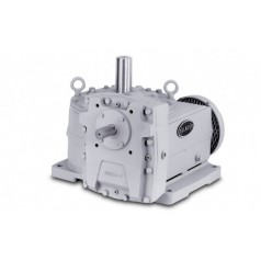 Delroyd Worm Gear 斜齿轮减速机系列