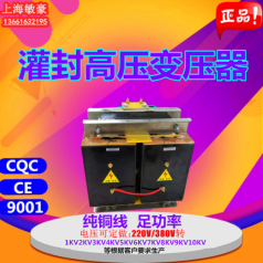 定制环氧灌封升压高压变压器220V380V转1KV2KV3KV5KV6KV8KV10KV等