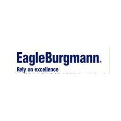 EagleBurgmann球阀