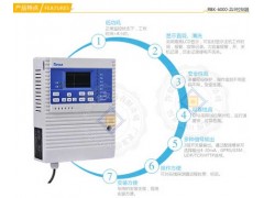 RBK-6000-ZL9 便于维护型甲烷报警器