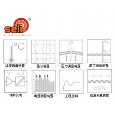 SELI测量装置