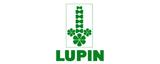 Lupin